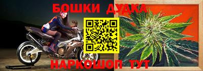 амф Моздок
