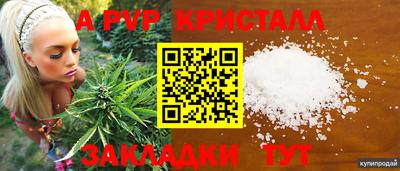амф Моздок