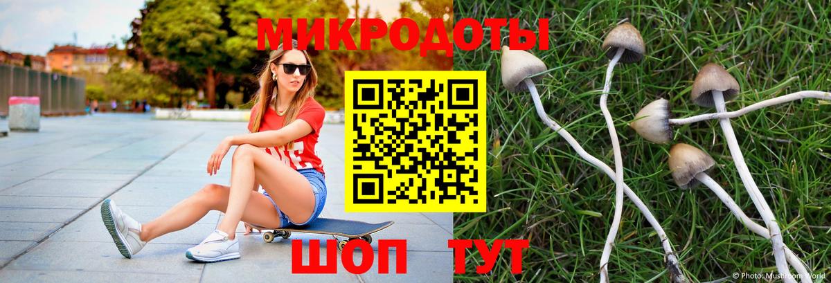 Галлюциногенные грибы мухоморы  Вход с VPN  Галлюциногенные грибы Psilocybe  Унеча 